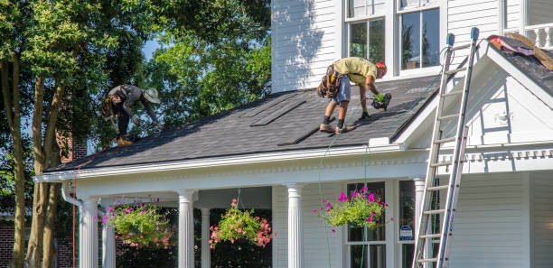 Professional Roof Repair & Installaion in Springfield, MN